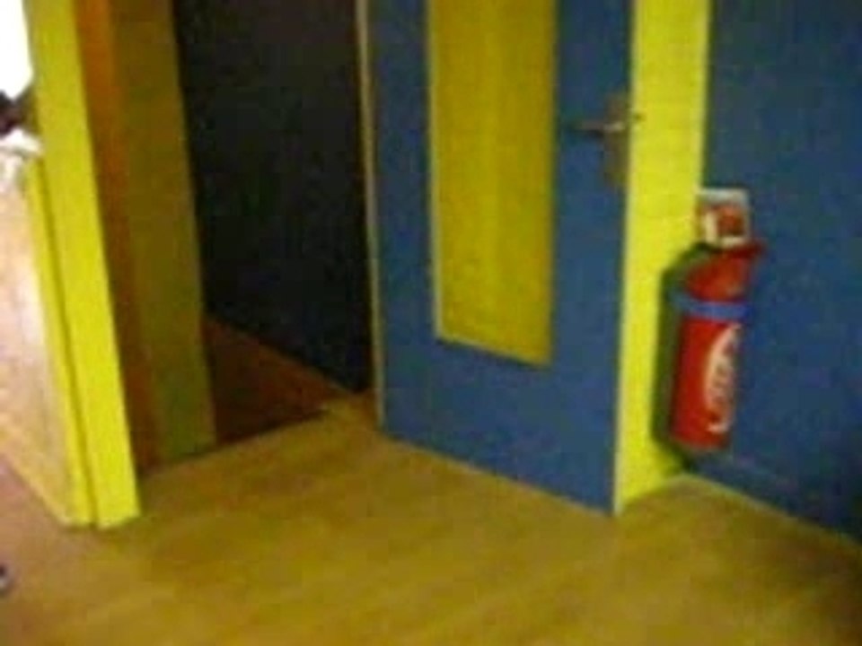 Visite