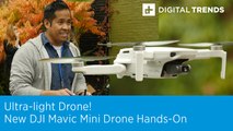 New DJI Mavic Mini Drone Hands-on | Flying Under the FAA Radar