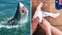 Kaki pria Inggris digigit hiu saat snorkeling di Australia - TomoNews