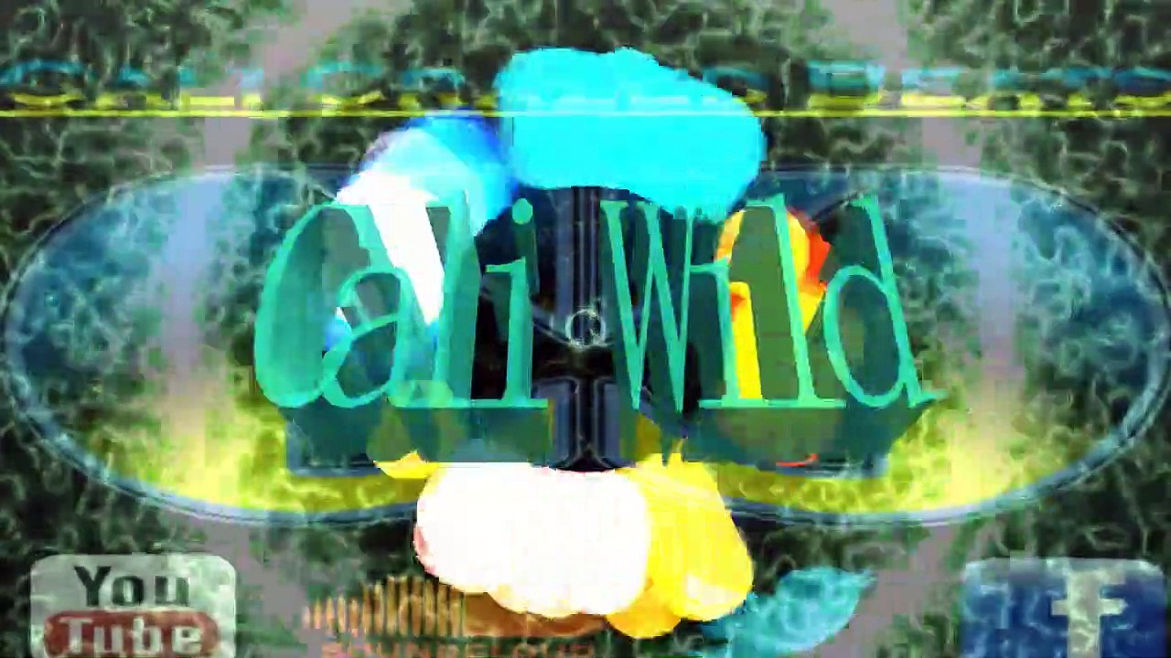 Cali Wild | 115 BPM
