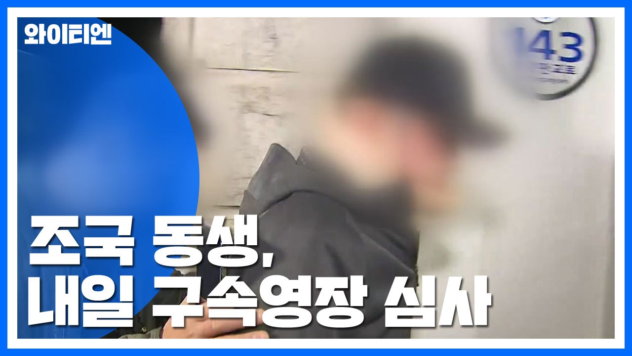 '웅동학원 의혹' 조국 동생, 내일 구속영장 심사..."적극 방어할 것" / YTN