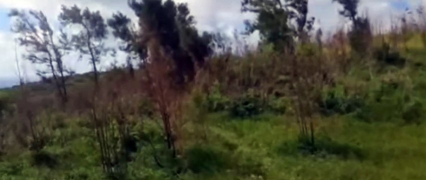 강남룸싸롱 논현동 신사동 역삼동 선릉 ↖한별이 OIO 7940 5429 강남 선릉 신사동 선릉 역삼동 역삼애플 달토가라오케 강남 논현동 선릉