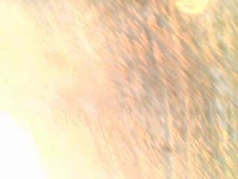 Dragonus video embarquée