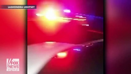 Un faucon pénètre dans une voiture en marche et sème la panique à bord