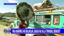 Mga mamimili ng bulaklak, dagsa na sa La Trinidad, Benguet