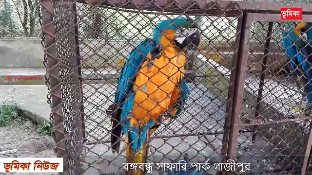 বঙ্গবন্ধু সাফারি পার্ক গাজীপুর Gazipur Bangabondhu Safari Park Bongobondhu safari park