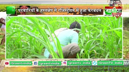 Kisan Bulletin 30 October 2019 | Grameen News |  खेतों में खड़ी धान को हुआ है भारी नुकसान, अन्य फसलें भी प्रभावित