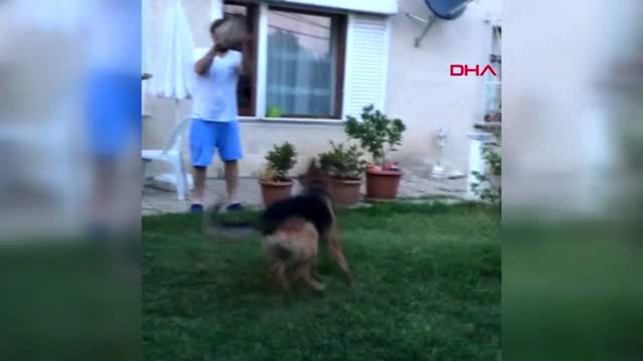 İstanbul-beşiktaş'ta vahşet evin bahçesindeki köpek kurşunlanarak öldürüldü