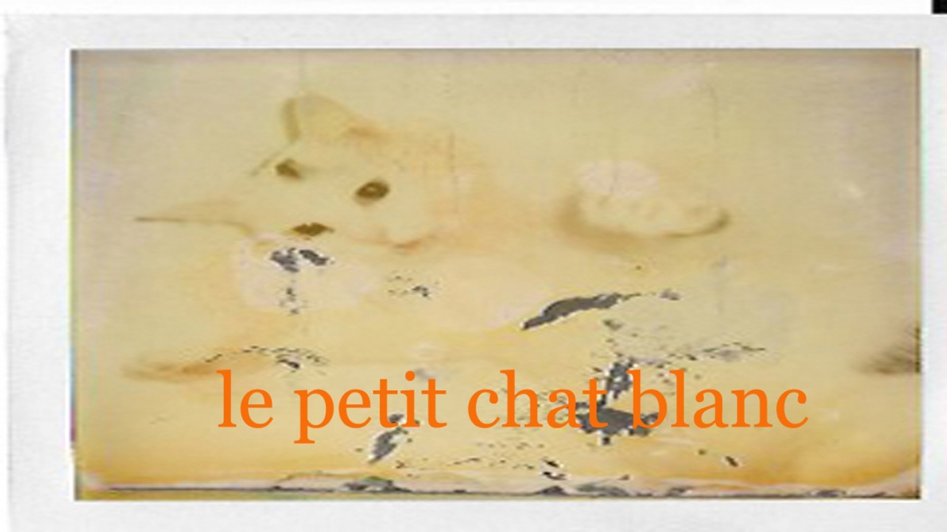 Claude Fonfrede Dominique Becker Le Petit Chat Blanc Video Dailymotion