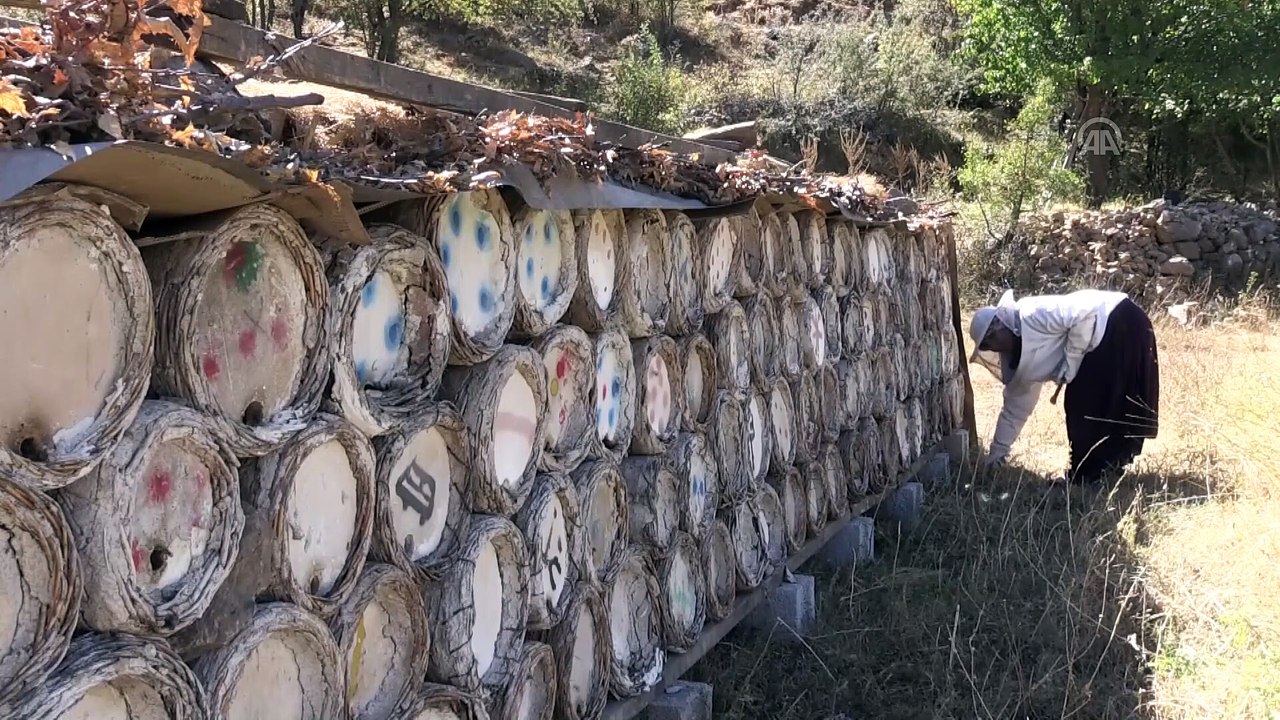 Hizanlı kadın arıcı 40 kovanı 4 yılda 750 kovana çıkardı - BİTLİS