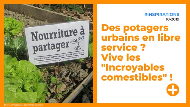 Des potagers urbains en libre service ? Vive les Incroyables comestibles !