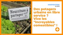 Des potagers urbains en libre service ? Vive les 