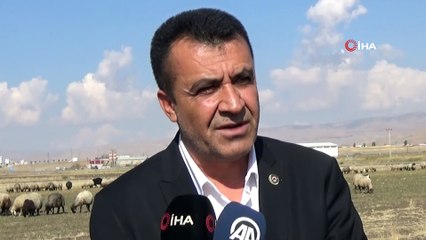 Terörün bitmesiyle tarım ve hayvancılık canlandı