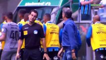 Grêmio 3 x 0 Botafogo - Melhores momentos