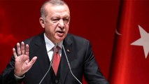 Son dakika: Erdoğan: Türkiye'yi, Suriye ve Irak gibi yapabileceklerini sananlara cevabımızı inlerine girerek verdik
