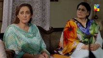 Naqab Zun Episode 23 HUM TV Drama 29 October 2019