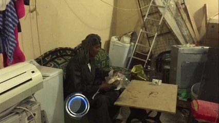 ديك ام الغربه   ابو التركي الصعيدي