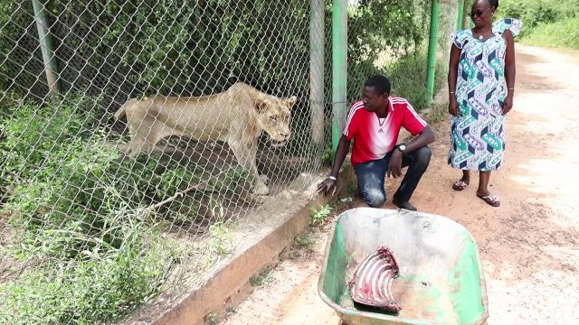 Burkina: cinq ans après l'insurrection, la nostalgie Compaoré