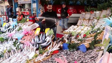Balıkçıların "Denizlerin Kurufasulyesi" diye adlandırdığı hamsi 10 TL'ye düştü