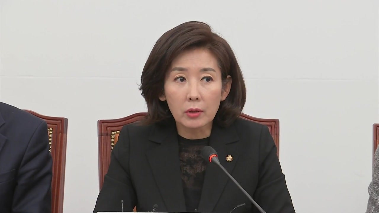 나경원 "심상정 '의석수 확대 합의' 주장 사과 안 하면 법적 조치" / YTN