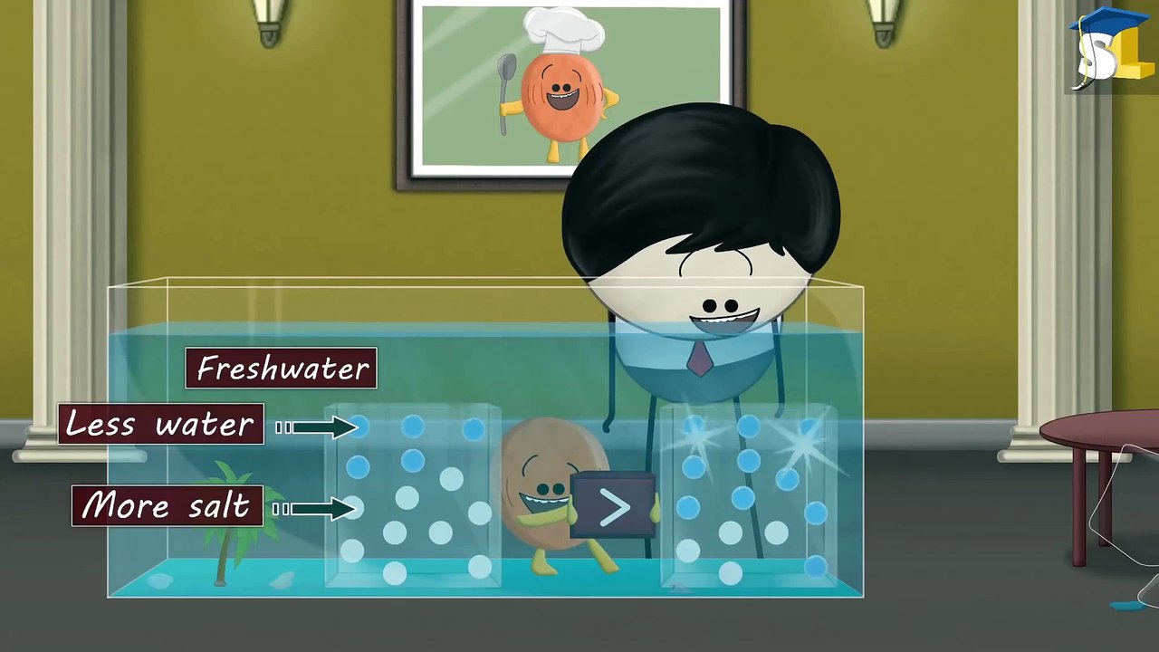 Osmosis_-_How_do_fish_drink_water__#aumsum(1080p)