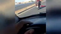 Motosiklet süren köpek kamerada