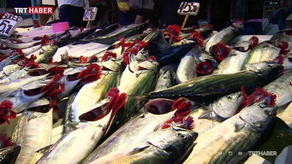 Taze balık nasıl anlaşılır?