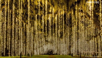 The Most Amazing Christmas Lights Display May Be at This South Carolina Botanical Garden