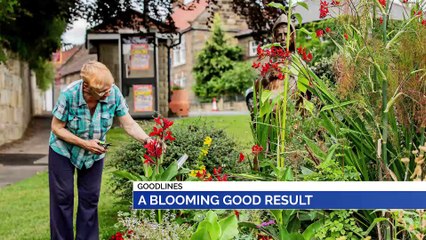 GOODLINES: 31st October 2019