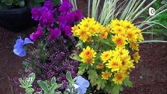 Marchés aux fleurs, théâtre Sainte Marie d'en bas , force athlétique - 30 OCTOBRE 2019