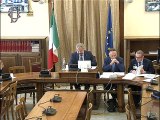 Roma - Missioni internazionali e processi di pace, audizione Istat (30.10.19)