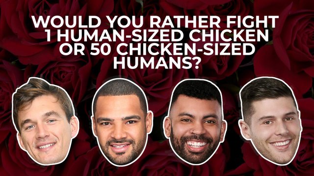 Bachelorette contestants answer: Would you rather fight 1 human-sized chicken or 50 chicken-sized humans?