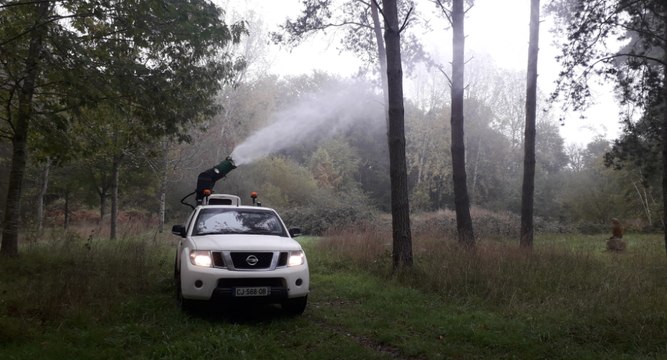 À Buzançais, la ville s'attaque aux chenilles processionnaires