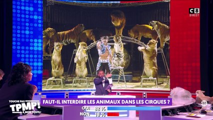Faut-il interdire les animaux dans les cirques ?