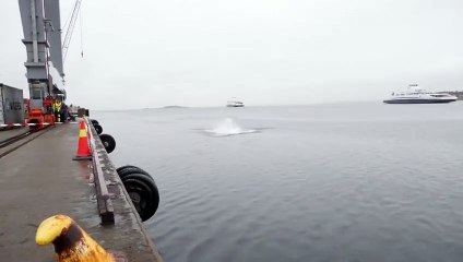 Il plonge du haut d’une grue à 30m de hauteur et se prend un plat