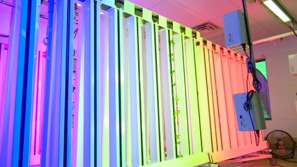 Une ferme verticale intérieure à Saint-Léolin