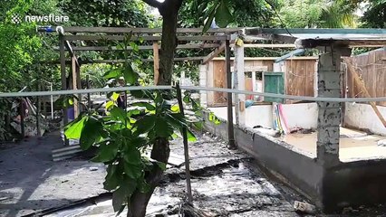 Volcanic material continues to damage more than 100 homes in Guatemala