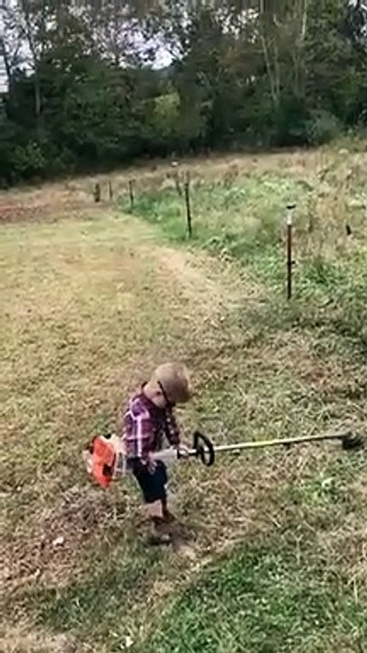 Jardinage : cet enfant est emporté par le taille haies !