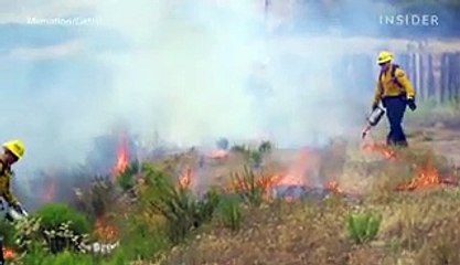 6 ways Californians can control the spread of wildfires