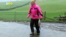 Check Out This Footage of a Cute Sheep Bouncing Around After Her Owner!