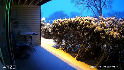 Time-Lapse Shows Snow Covering Garden Overnight