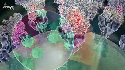 Mystery Virus Discovered With No Identifiable Genes