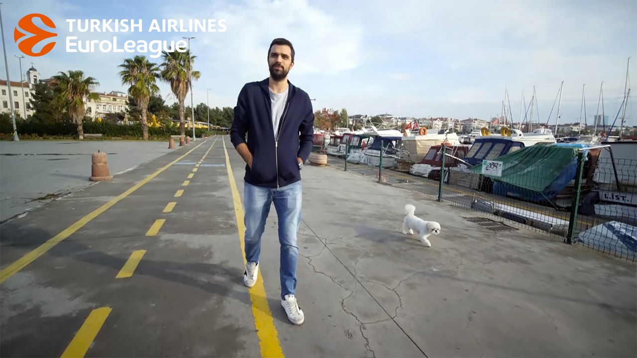 Krunoslav Simon's globe-trotting dog