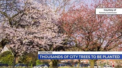 GOODLINES: 11th February 2020