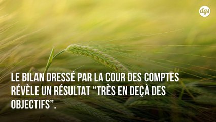 La politique mise en place pour réduire l'usage des pesticides en France est un échec cuisant