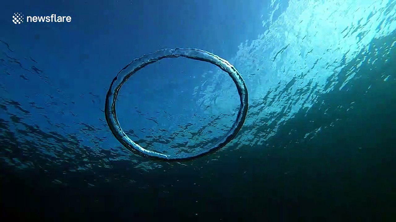 Unsuspecting jellyfish taken for a spin by bubble ring in Balearic Sea
