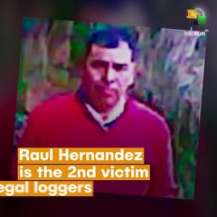 Another Butterfly Activist Killed In Mexico