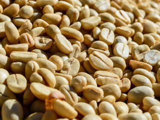 FDA Approves First-Ever Peanut Allergy Treatment—Here's How It Works
