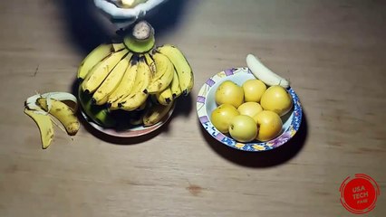 How  to make bio gas gas