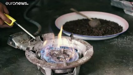 سردية القهوةِ المخدّرةِ في إندونيسيا حيث تُبتذل سيدّة المزاج